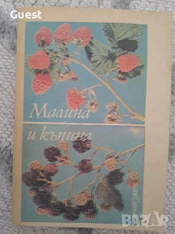 Малина и къпина, снимка 1