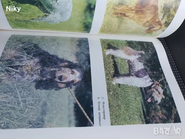 Книга за лов и риболов , снимка 8 - Екипировка - 48345598