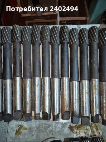 Райбери  Български, снимка 1