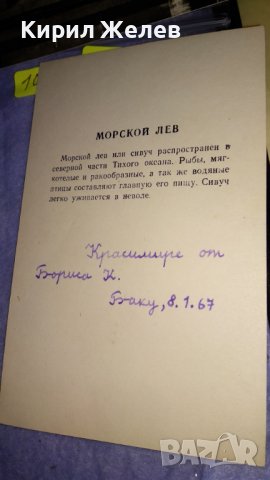 ЛОТ ЧЕТИРИ СТАРИ ПОЩЕНСКИ КАРТИЧКИ СССР ГДР ТЕМА ФАУНА и ПАМЕТНИЦИ 33068, снимка 6 - Филателия - 38662485