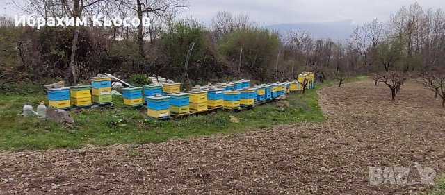 Пчелни кошери - Кошери - Pchelni kosheri - Kosheri , снимка 16 - За пчели - 40275469