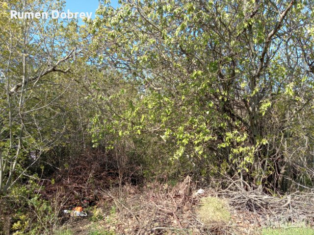 Професионално почистване на всякакви буренясали парцели, градини и къщи, дворове и всякакви други пл, снимка 7 - Други услуги - 32455705