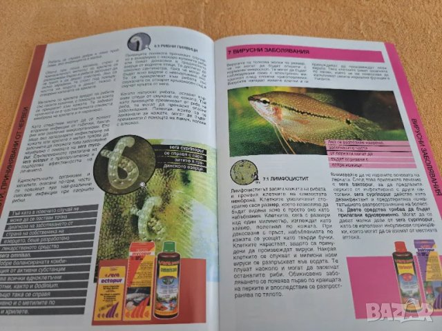 5 справочника за декоративните рибки, снимка 8 - Специализирана литература - 48728395