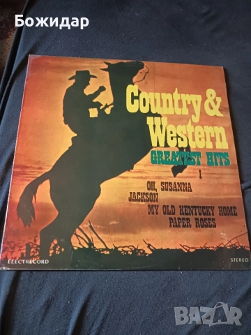 Грамофонни плочи. Кънтри и уестърн., снимка 3 - Грамофонни плочи - 51518104