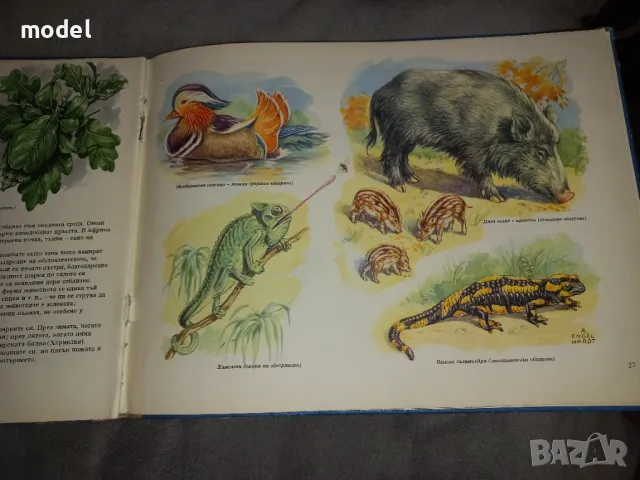 Чудеса на природата Педагогическа картинна книжка , снимка 3 - Енциклопедии, справочници - 49781344