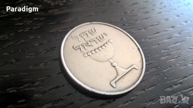 Монета - Израел - 1 шекел | 1981г., снимка 2 - Нумизматика и бонистика - 27783968