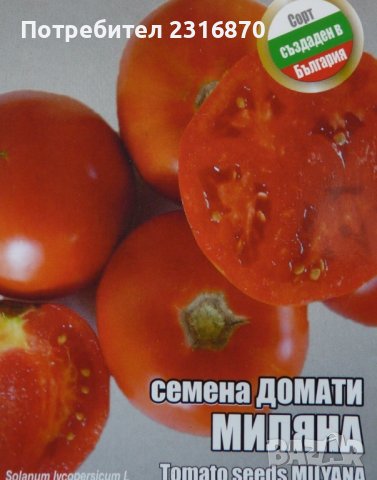 Семена за домати сорт ,,Миляна", снимка 1