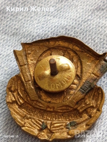 Нагръден знак За Ударен труд с емайл медал за КОЛЕКЦИОНЕРИ 28667, снимка 7 - Антикварни и старинни предмети - 51050235