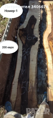 Големи орехови янове , снимка 2 - Декорация за дома - 53217198