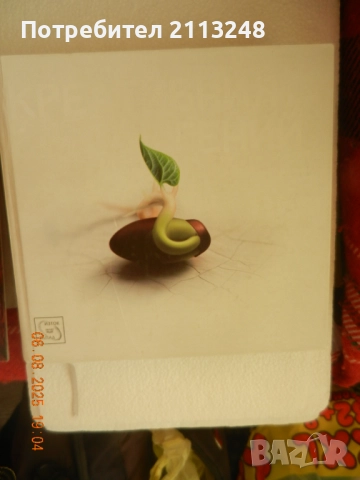 Питър Фиск - Креативният гений