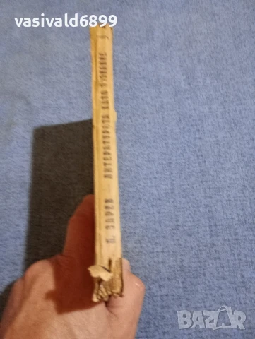 Панталей Зарев - Литературата като познание , снимка 2 - Специализирана литература - 51387808