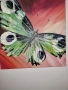 Картини пеперуди 40/40, 3 броя, снимка 3