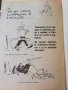 Горско стопанство - списание 1965 година, снимка 1 - Специализирана литература - 43550749