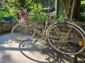Велосипед Алфира, снимка 1