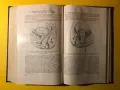 Стара Книга Гинекология 1957 г. на Руски, снимка 8