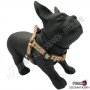 Нагръдник за Куче - XS, S, M, L - 4 размера - Dog Harness A Romb Ivory - Pet Interest, снимка 1