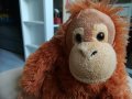 Орангутан плюшен, Wild Republic, снимка 1 - Плюшени играчки - 40380050