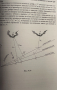 Навигация и лоция том 2 - Милчо Белчев, снимка 4