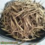 100 броя бамбукови семена от декоративен бамбук Moso Bamboo зелен МОСО БАМБО за декорация и украса b, снимка 5