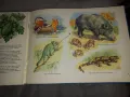Чудеса на природата Педагогическа картинна книжка , снимка 3