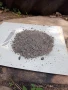 Въглищен прах, снимка 3