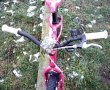 Детски велосипед/колело 16” Scott Contessa JR, алуминиева рамка, розов, контра , снимка 4