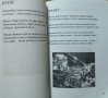 Мъжка дума: Стихове. Асен Стоянов 2005 г., снимка 3