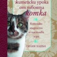 книги 100 житейски урока от твоята котка. Котешки мъдрости за щастливи хора и котката ми пощуря, снимка 1 - Художествена литература - 43437163