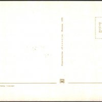 Пощенска Картичка Фауна Пеперуда 1970 от СССР, снимка 2 - Филателия - 32260964