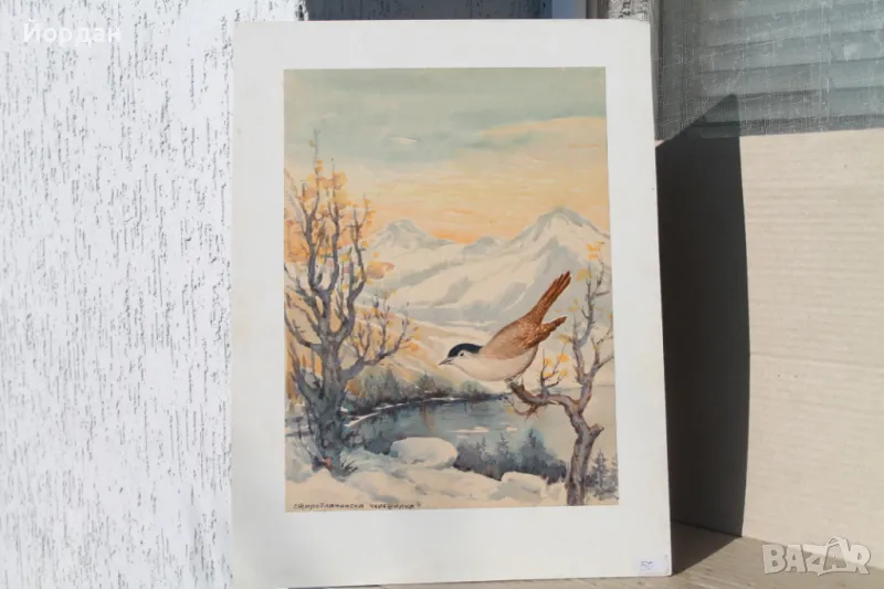 Акварел /автор-Никола Пилчев/ ''Старопланинска черешарка'', снимка 1