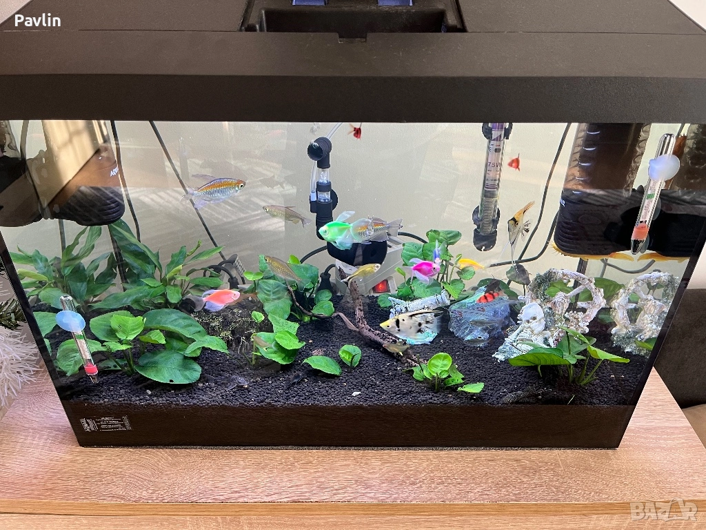 Аквариум 80L , снимка 1