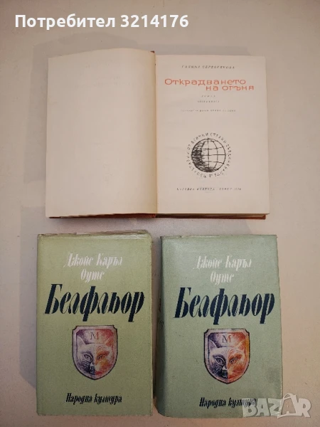 Открадването на огъня. Книга 2 - Галина Серебрякова, снимка 1