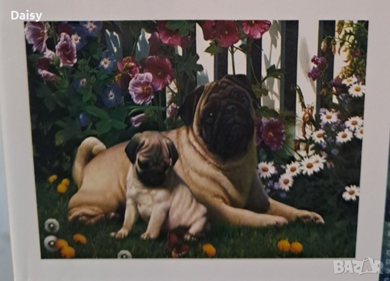 Мопс Диамантен гоблен с дървена рамка отзад, снимка 1