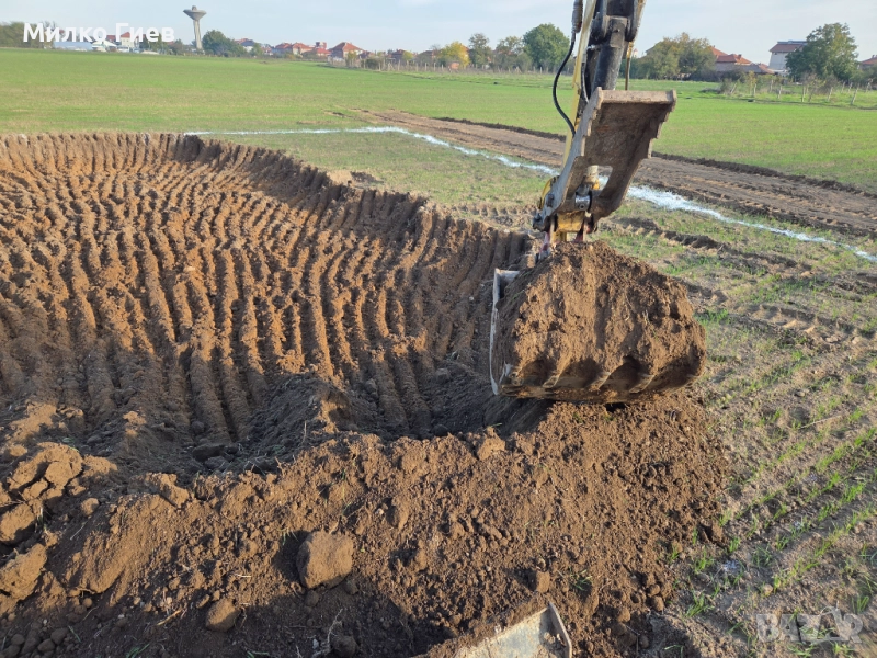 Хумус , пръст , почва, снимка 1