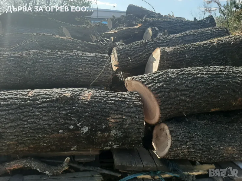 дърва за огрев метровки дъб , снимка 1