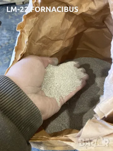 Едър и дребен шамот за изработка на техническа керамика, снимка 2 - Други машини и части - 48879507