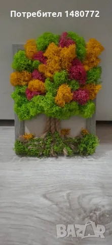 Дърво от скандинавски мъх в рамка, снимка 4 - Декорация за дома - 47986453