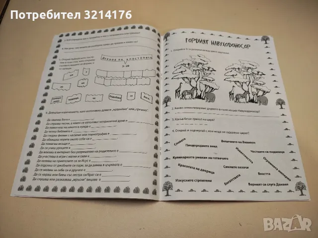 Данаил, силен в Господа. Занимателна книжка за деца от 8-10години, снимка 2 - Детски книжки - 49451874