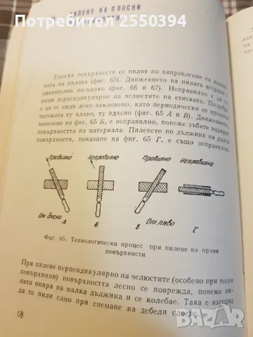 Пилене, снимка 2 - Специализирана литература - 48693747