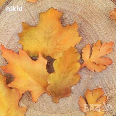 4 бр листа листо есенни есенно борови сет пластмасови резци форми за фондан тесто торта украса резец, снимка 2 - Форми - 35143742