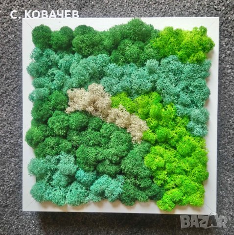 Уникални, модерни,свежи живи картини от естествен мъх.Градина в дома, снимка 9 - Декорация за дома - 19336040