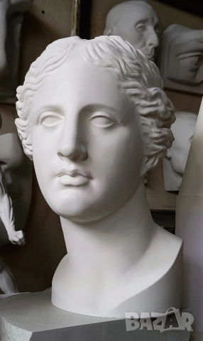 Геометрични Форми за Рисуване / Растителни / Анатомични Форми за Рисуване, снимка 18 - Картини - 50774674