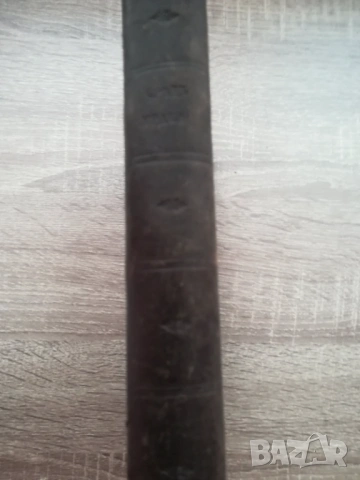 роман „Сред мрака“ (1901 г)Димитър Т. Страшимиров , снимка 6 - Антикварни и старинни предмети - 53280420