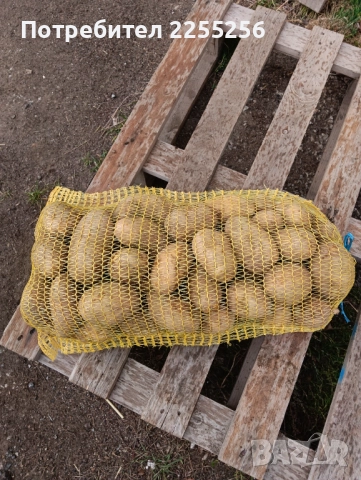 Картофи 10кг-20кг и семе Сорт сорая  