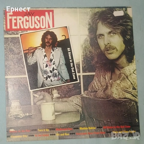 Грамофонни плочи 70-тарски рок и смес със саурърн рок, снимка 6 - Грамофонни плочи - 32572101