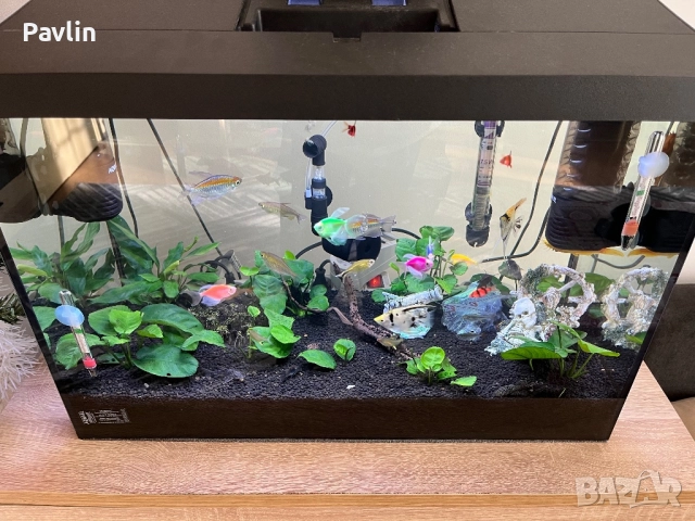 Аквариум 80L 