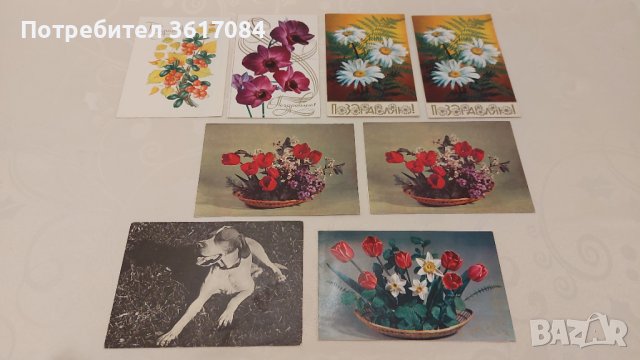 Руски и немски ретро картички, снимка 2 - Антикварни и старинни предмети - 39461627