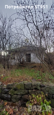 Дворно място, Димитровград