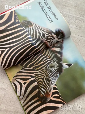 Енциклопедия на животните, Софтпрес, снимка 8 - Детски книжки - 49267308