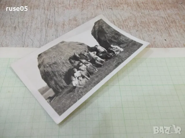 Снимка стара на българи пред събрана слама в Америка, снимка 3 - Колекции - 48080876